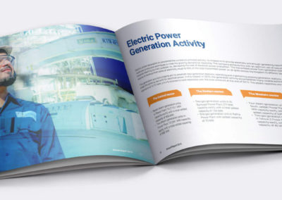 Saudi Electricity Annual Report 2016