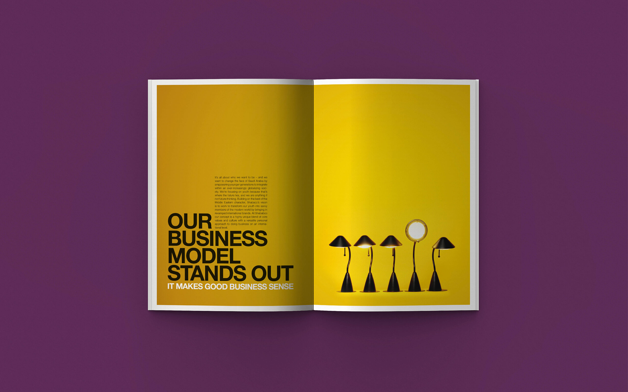 Shababco brochure design