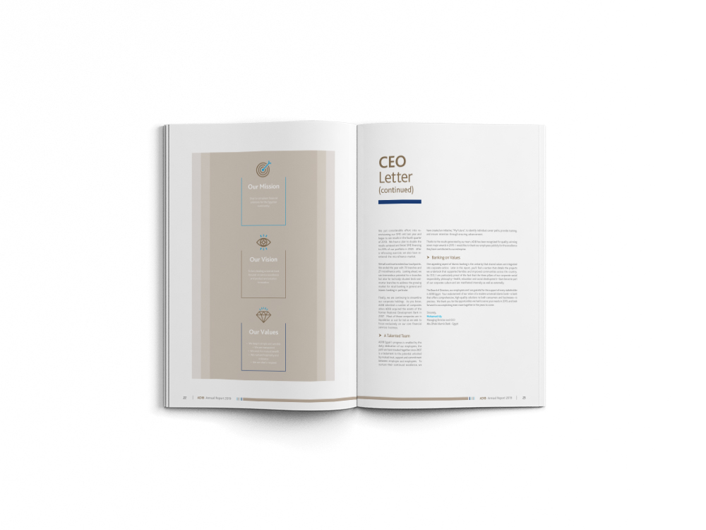 annual report, brochure, infographics