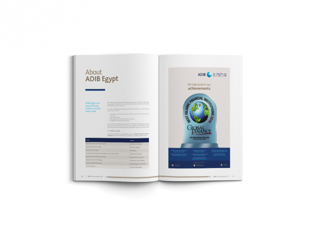 annual report, brochure, infographics