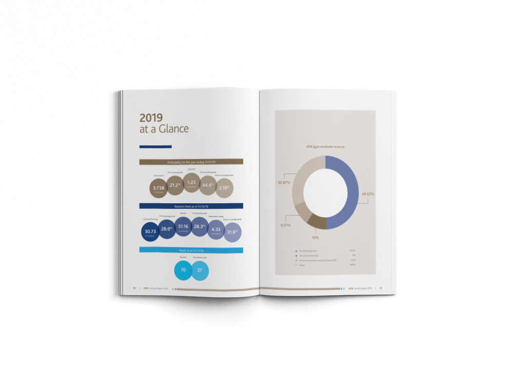annual report, brochure, infographics
